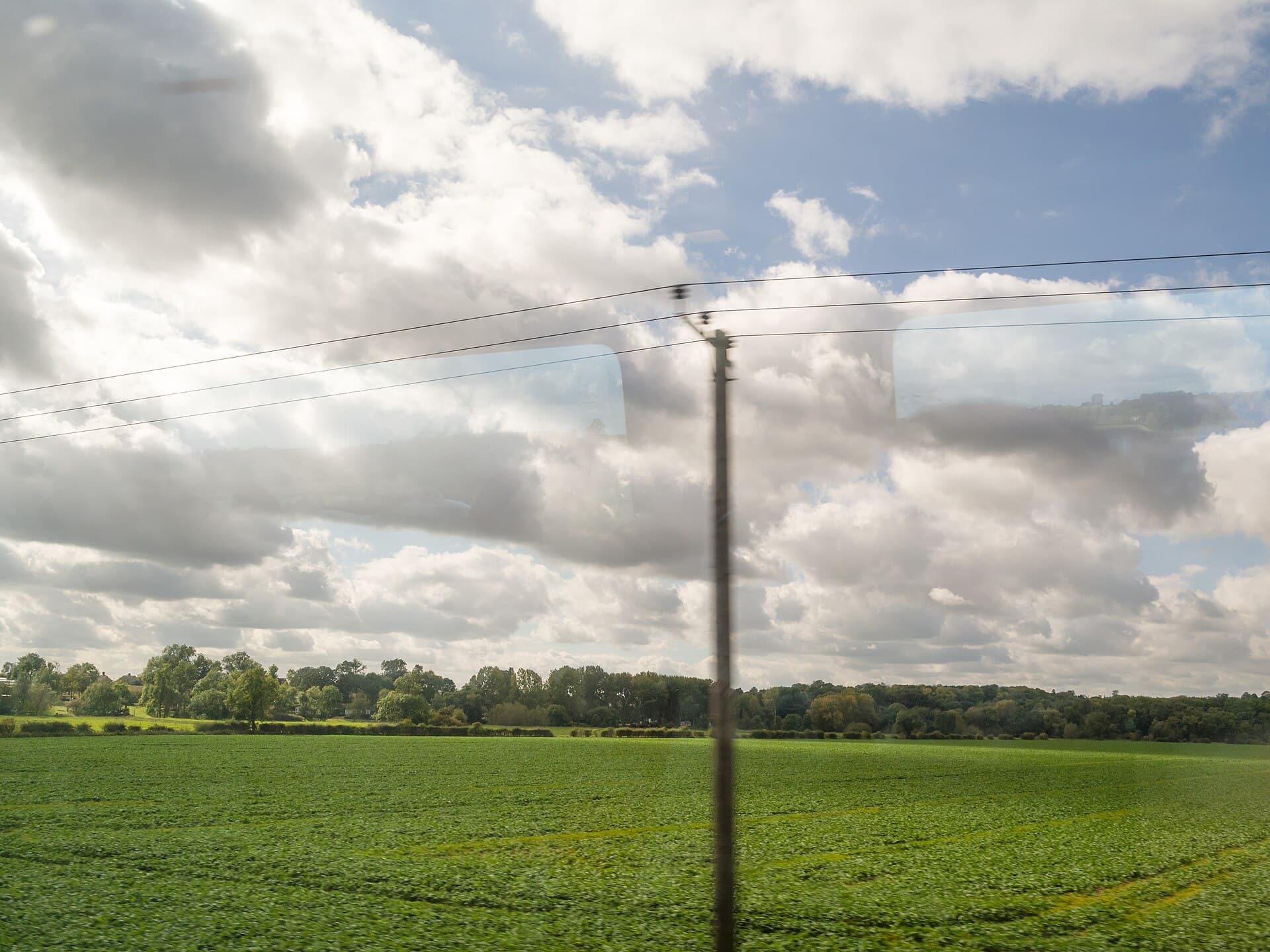 Green fields seen through a train window.